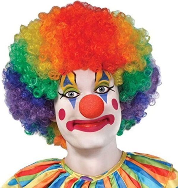 Joker Wig and Nose